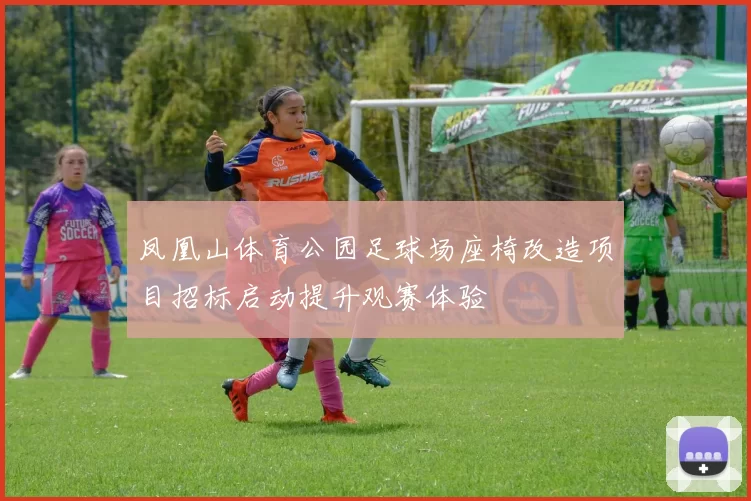 凤凰山体育公园足球场座椅改造项目招标启动提升观赛体验